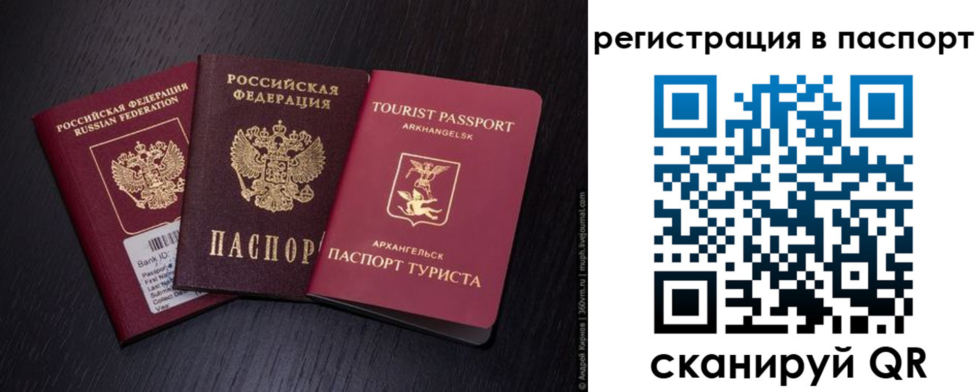 прописка в квартире в Электрогорске